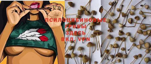 хмурый Нея
