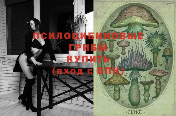 ПСИЛОЦИБИНОВЫЕ ГРИБЫ Нефтегорск