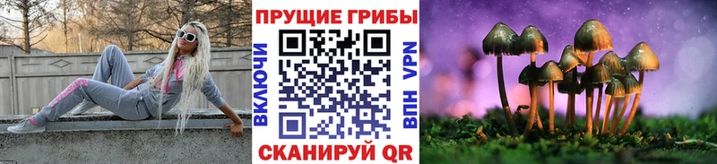 Купить закладки  Минеральные Воды  Псилоцибиновые грибы мицелий 